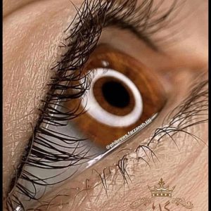 نمونه‌کارها سالن گلها، تصویر 2