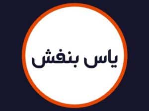 آرایشگاه تخصصی یاس بنفش