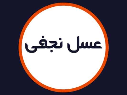 مركز تخصصی ناخن و مژه عسل نجفی