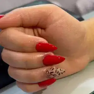 آرایشگاه مهلا حریری