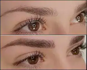 سالن بارانا فیبروز — نمونه 5