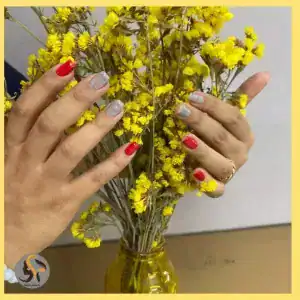 نمونه‌کارها سالن زیبایی دلجو، تصویر 3