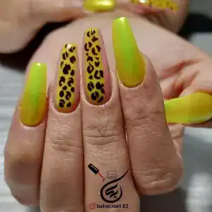 سالن نازنین عباسی — نمونه 6
