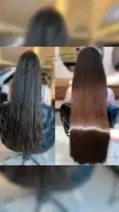 یاسمین شاهچراغی — نمونه 5