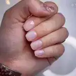 سالن چیستا