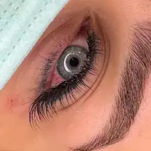 سالن پروانه فرهمند — نمونه 6