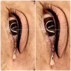 نمونه‌کارها سالن فرخنده، تصویر 2