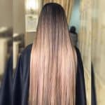 آکادمی روژین