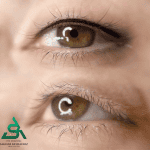 آکادمی ساغر کشاورز