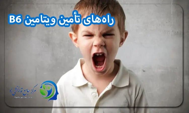 راه‌های تأمین ویتامین B6