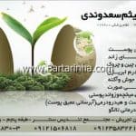 مرکز دکتر میثم سعدونی