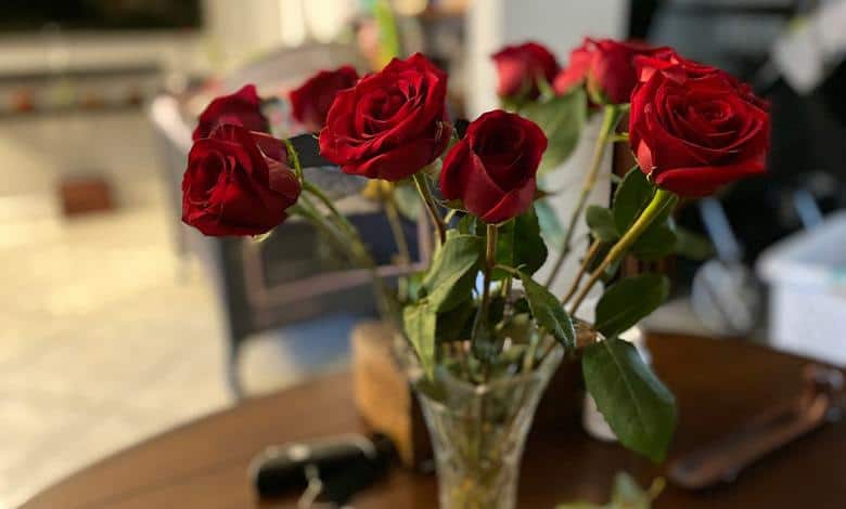 نگهداری گل رز در خانه نگهداری فراتر از اصول اولیه: هرس و مقابله با آفات
