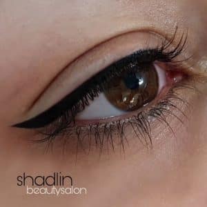 نمونه‌کارها سالن شادلین، تصویر 1