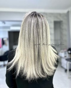 نمونه‌کارها سالن نگار افروز، تصویر 6