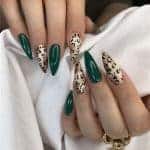 سالن عروس و زیبایی دلبرانه