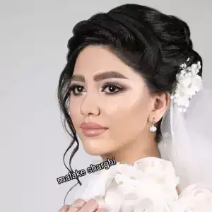 نمونه‌کارها سالن زیبایی و عروس سرای ملکه شرقی، تصویر 2