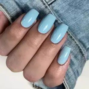نمونه‌کارها سالن شایلین، تصویر 4