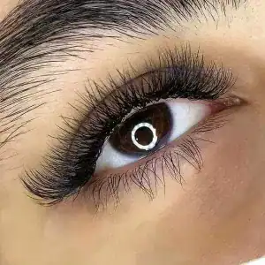 نمونه‌کارها سالن شایلین، تصویر 2
