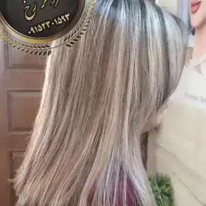 سالن فروهر رخ — نمونه 2