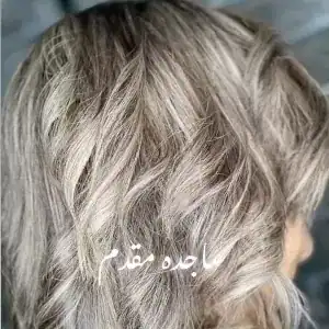 سالن ساجده مقدم — نمونه 2