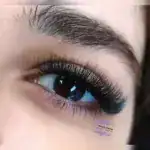 سالن پونه