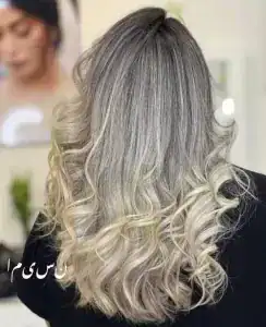 سالن نسیما — نمونه 6