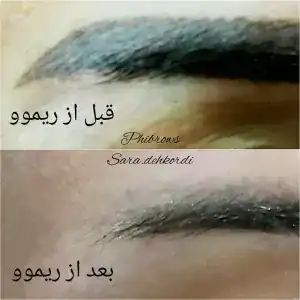 نمونه‌کارها سالن رز، تصویر 1
