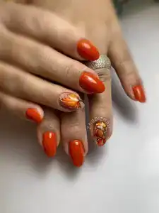 نمونه‌کارها سالن ژابیز، تصویر 1