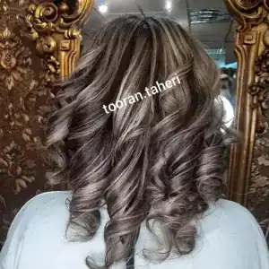 سالن نیاوران — نمونه 2