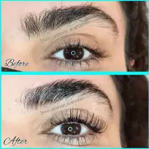سالن نیاوران — نمونه 1