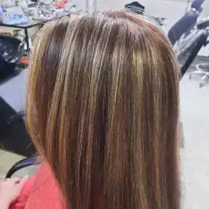 نمونه‌کارها سالن گلسا، تصویر 6