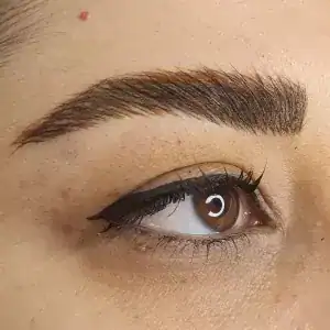 سالن آریس — نمونه 5
