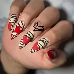 نمونه‌کارها ساناز حسينی، تصویر 3