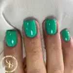 سالن نگار کمائی
