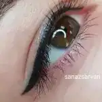 سالن پاییون