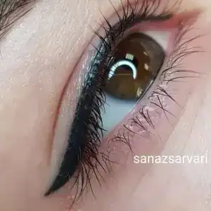 سالن پاییون — نمونه 1
