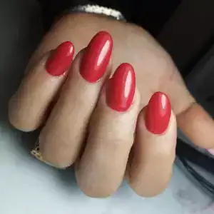 سالن تاج گل — نمونه 2
