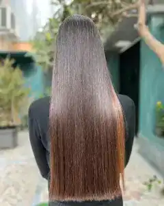 نمونه‌کارها سالن ندا یحیایی، تصویر 4