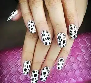 نمونه‌کارها سالن آذین رخ، تصویر 4