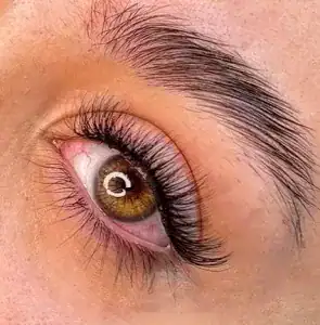 نمونه‌کارها ساناز دانیالی، تصویر 3