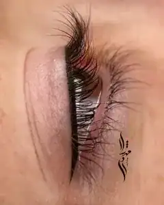 مهشاد موسوی — نمونه 2