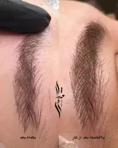 مهشاد موسوی — نمونه 4