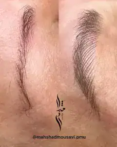 مهشاد موسوی — نمونه 6