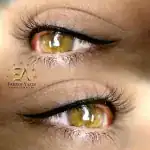 فرگل یزدی