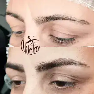 نمونه‌کارها نیلوفر علیبنده لو، تصویر 1