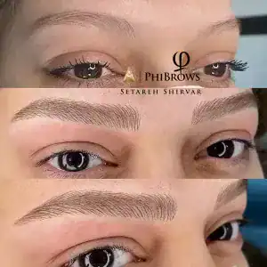 نمونه‌کارها ستاره شیروار، تصویر 2