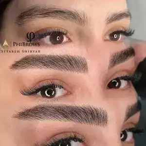 نمونه‌کارها ستاره شیروار، تصویر 4