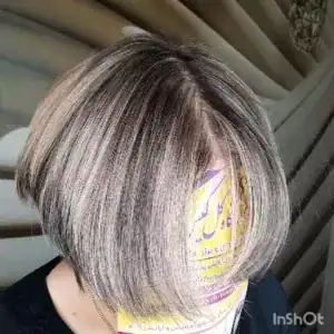 آکادمی گل گیس — نمونه 3