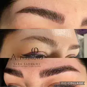 نمونه‌کارها سارا صادقی، تصویر 1