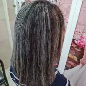 آکادمی ملیحه — نمونه 1